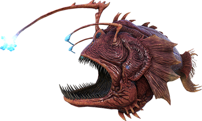Aberrant Angler