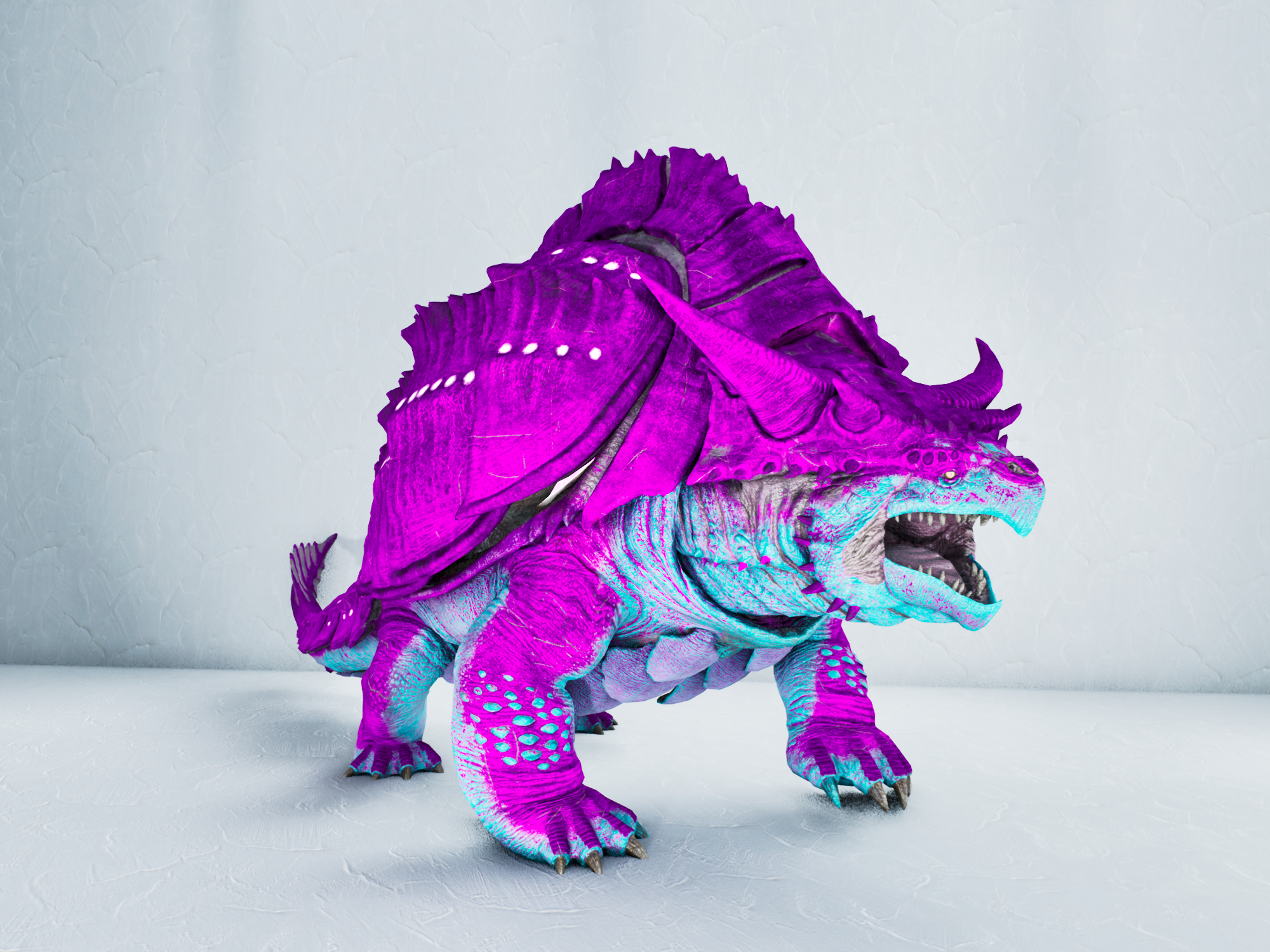 Grand Tortugar — Cotton Candy