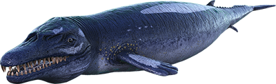 S-Basilosaurus