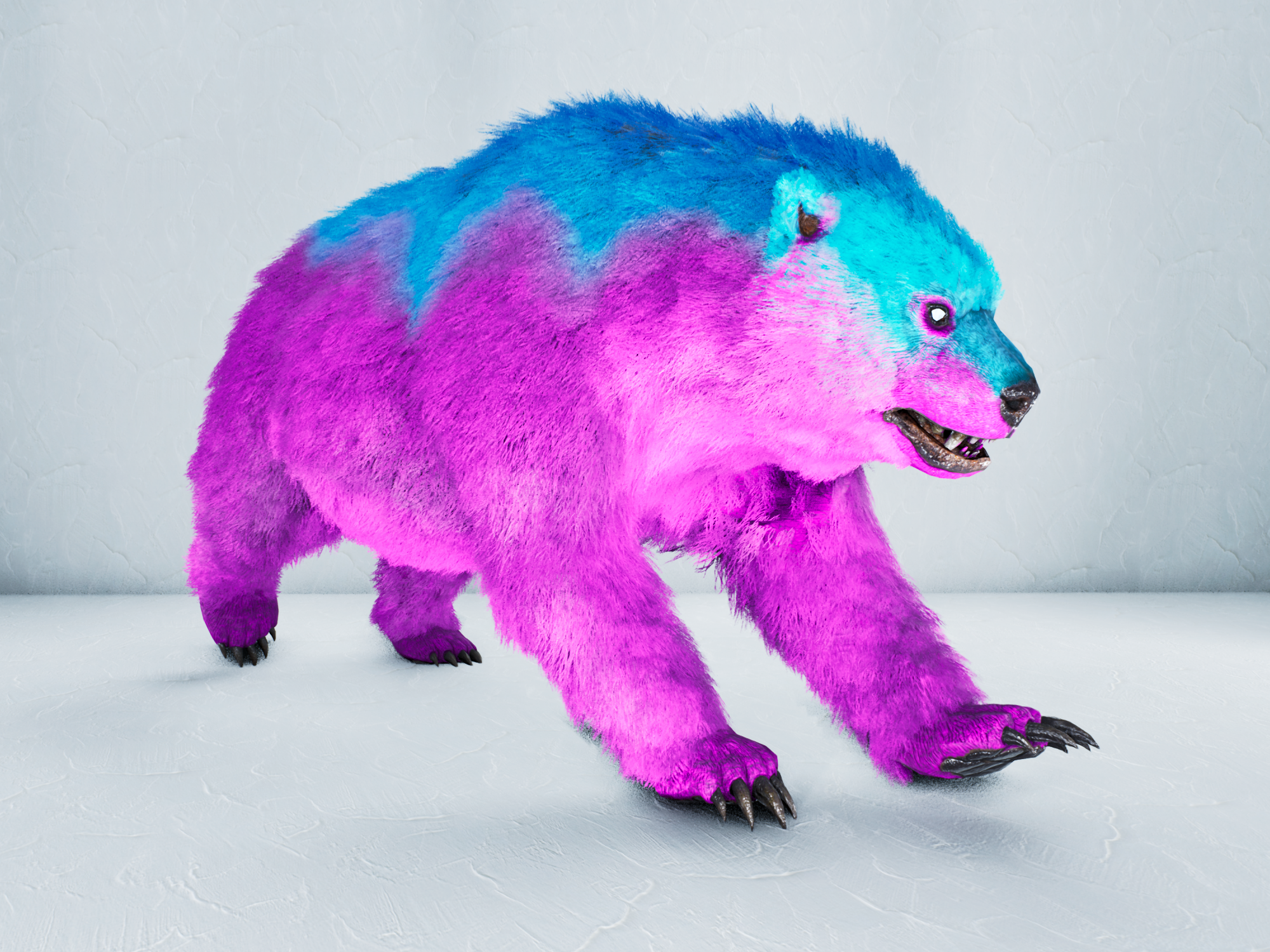 S-Direbear — Cotton Candy
