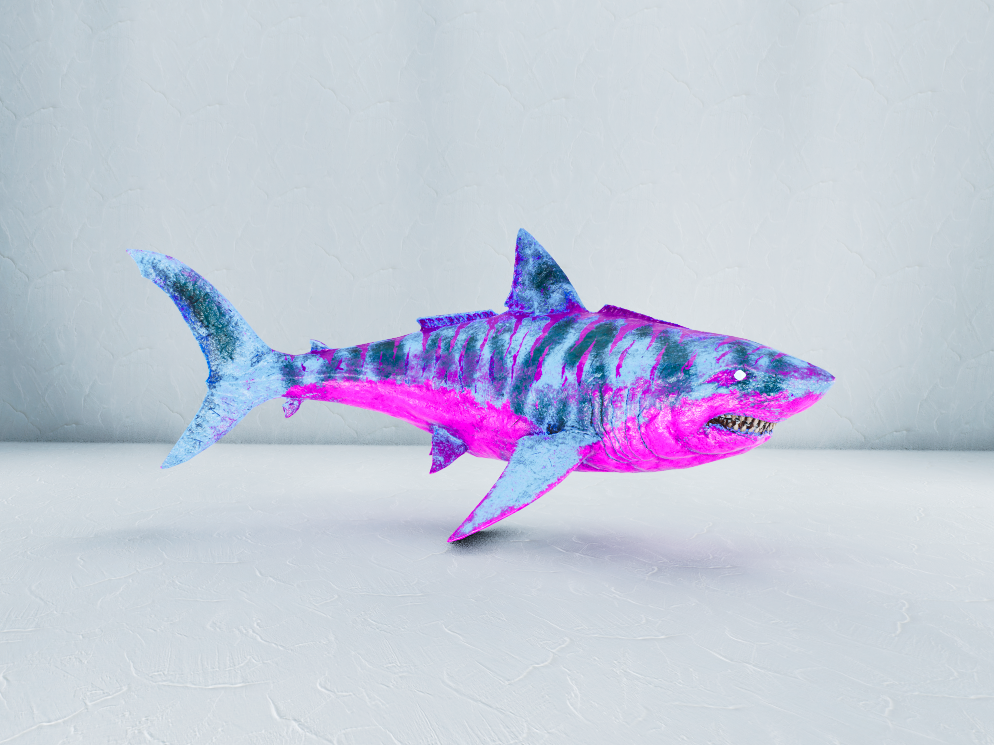 S-Megalodon — Cyan/Pink