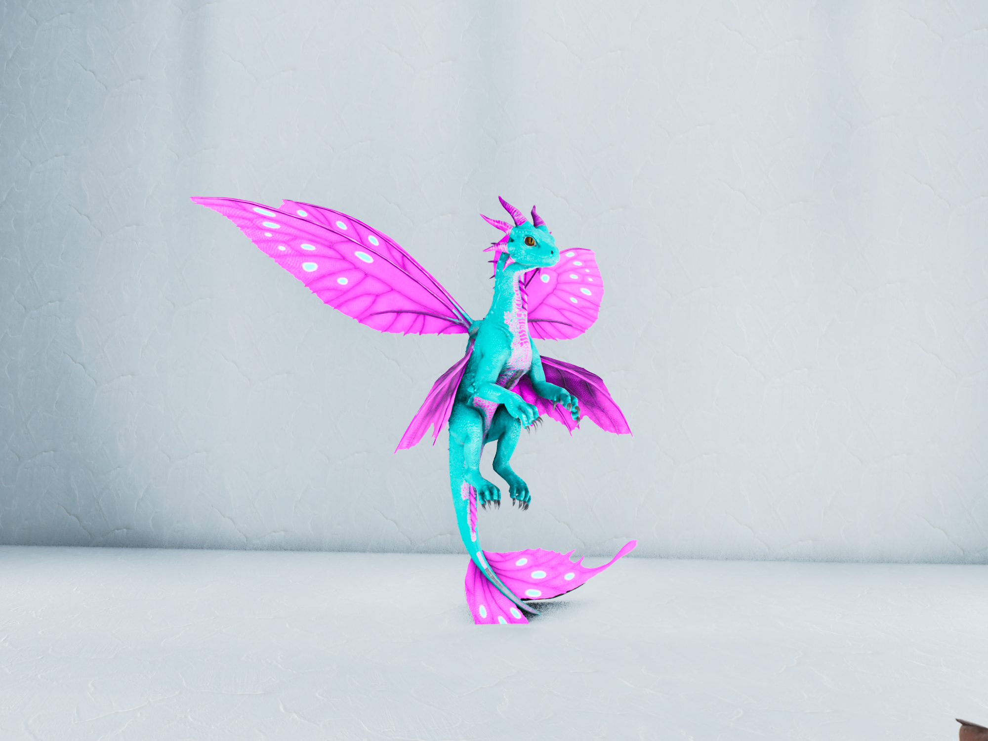 Summer Drakeling — Cyan/Pink