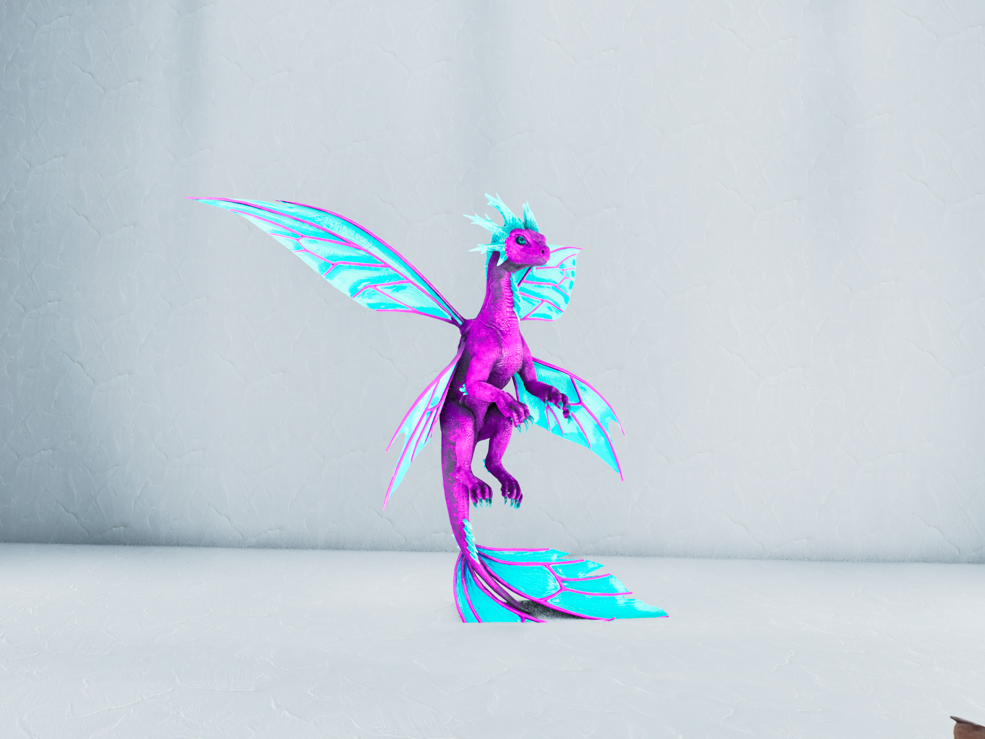 Winter Drakeling — Cotton Candy
