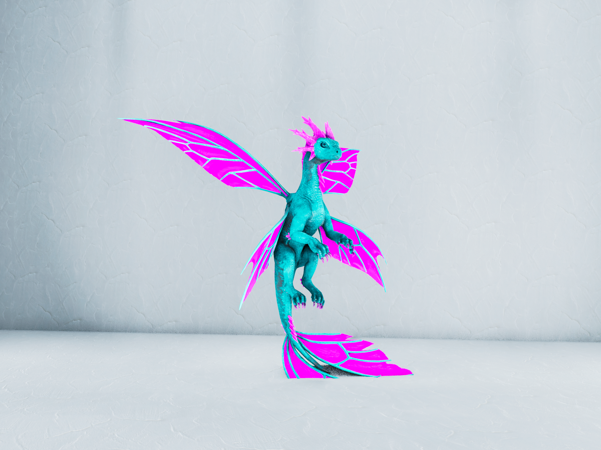 Winter Drakeling — Cyan/Pink