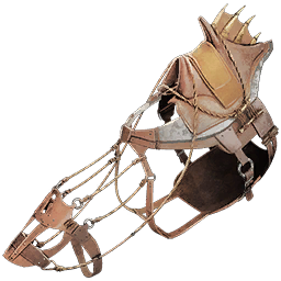 Fasolasuchus Saddle