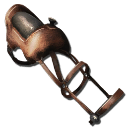 Kaprosuchus Saddle